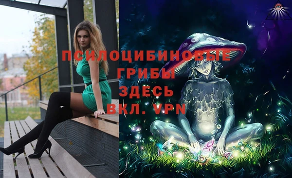 метамфетамин Каменногорск